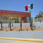 SEMAR mantiene acciones para contener sargazo en Quintana Roo, previo al inicio de la Semana Santa 2021