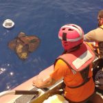 Automovilistas podrían gastar hasta 14 mil pesos por caer en un bache en Oaxaca