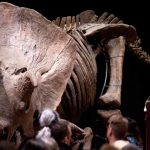 Reina Isabel vuelve a su escritorio tras primera noche en el hospital en años