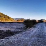 Cómo distinguir sitios oficiales y sitios fraudulentos en El Buen Fin 2021