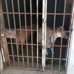 Tunden a Citlalli Hernández por foto en tienda Apple Antara de Polanco