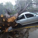 Gobierno de la CDMX cambiará a los micros por autobuses en 4 corredores