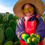 Cautivan en la Alameda de León las Expresiones Artísticas y Culturales de los pueblos de Oaxaca