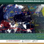 Destinan Cofom y Conafor 1.6 mdp para conservación de bosques