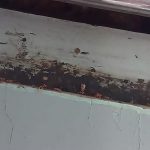 Hunter Biden demandará al IRS por violación de su privacidad financiera