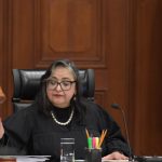 Boa de 2 metros deja sin luz a 15 colonias del sur de Mérida, Yucatán