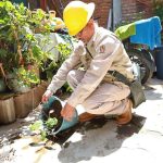 Claudia Sheinbaum descarta recibir a la ministra Norma Piña