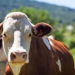 Presenta Conagua pronóstico de la temporada de ciclones