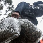 Vigencia del tratado marítimo que revoluciona la protección de los océanos y garantiza un futuro sostenible