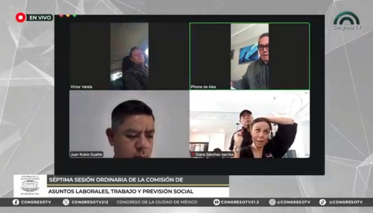 Legisladores en sesión virtual: ¿trabajo o distracciones al volante y frente a la cámara?