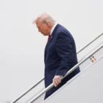 Expertos exigen peritaje urgente para decidir el futuro del albergue canino